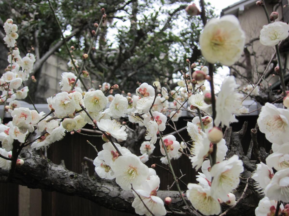 Yadoya Nishijinso Hotell Kyoto Eksteriør bilde